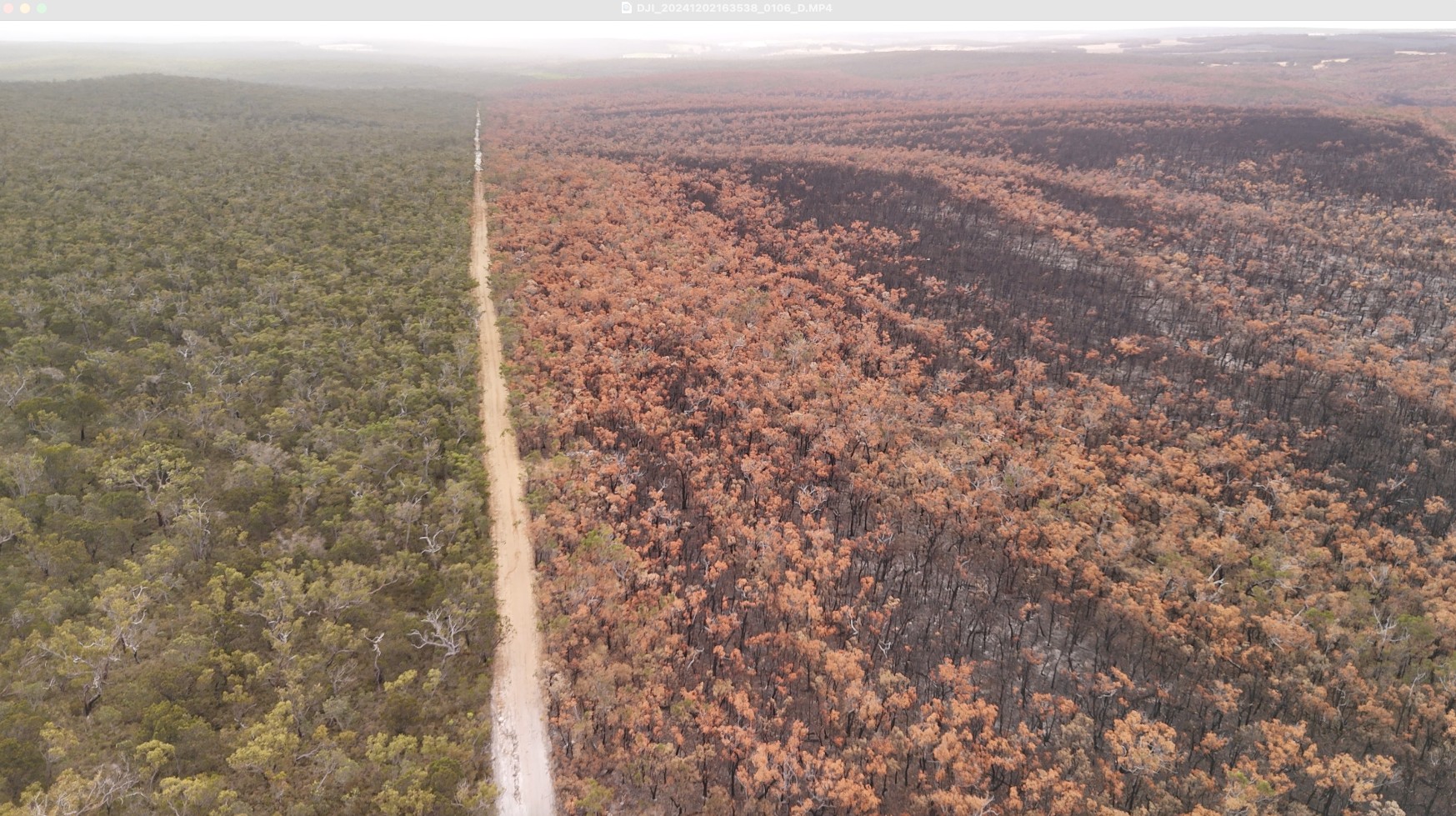 Boundary Cell 2 Facing west